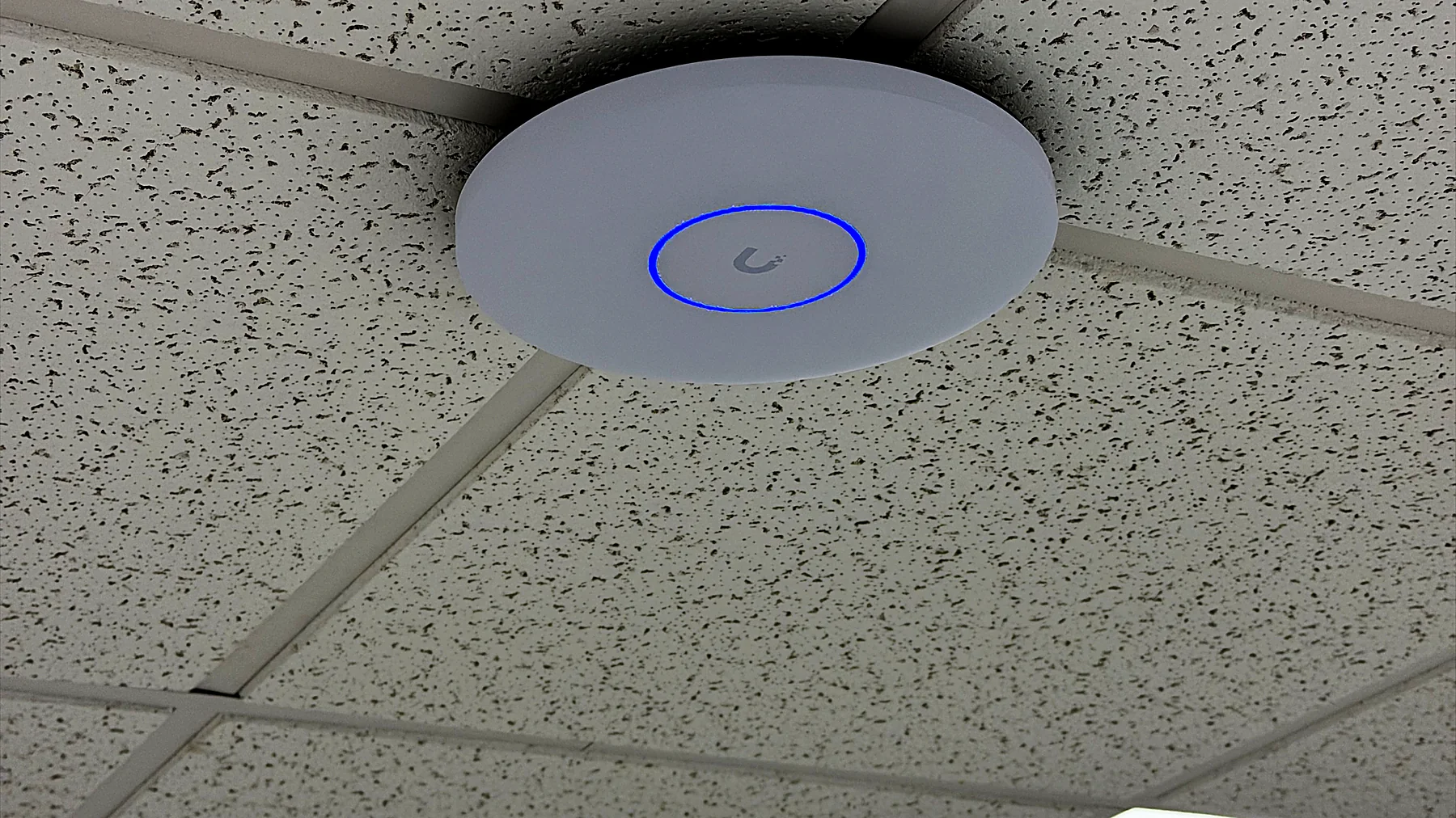 A wireless access point mounted flush in a suspended ceiling tile, its status ring lit blue.