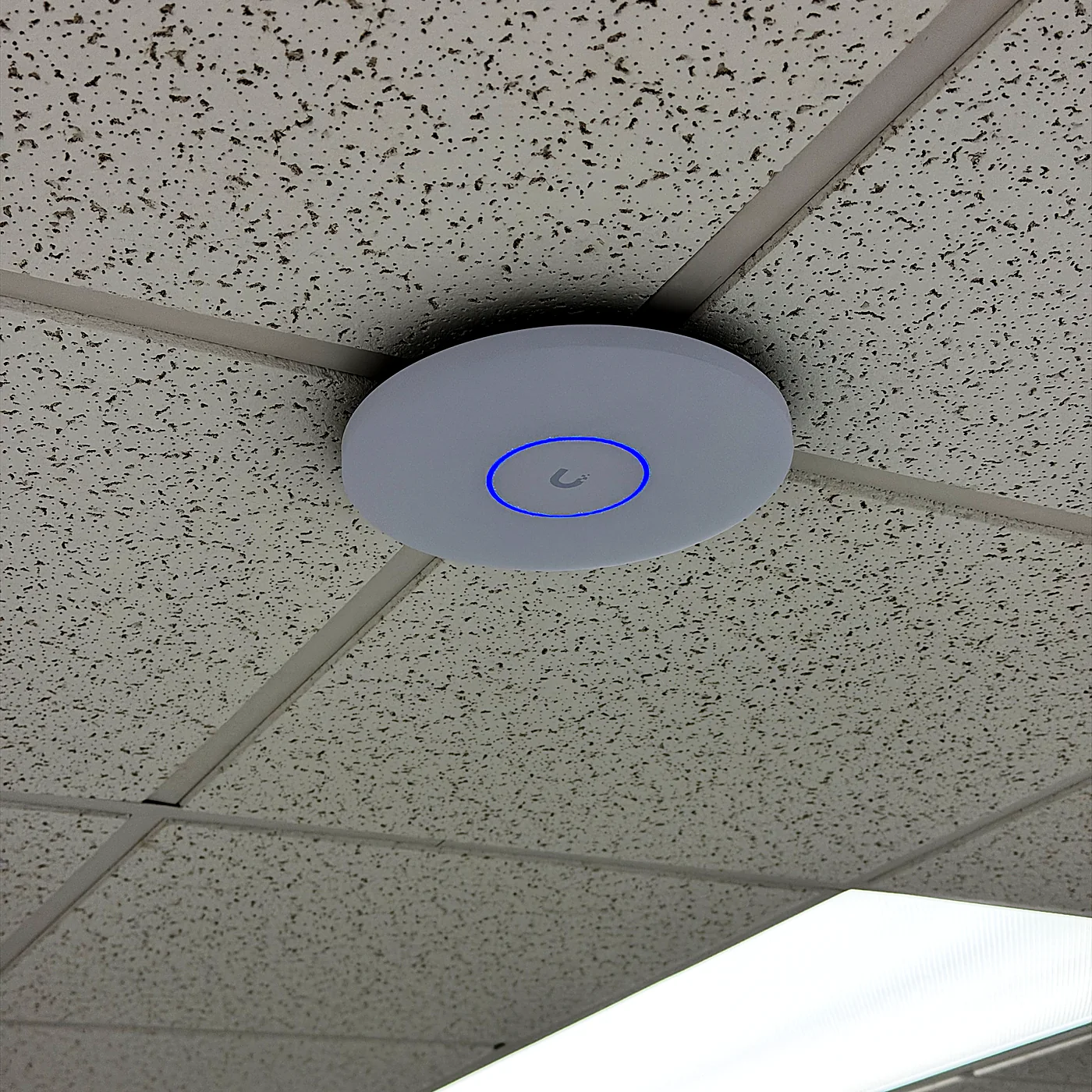 A wireless access point mounted flush in a suspended ceiling tile, its status ring lit blue.